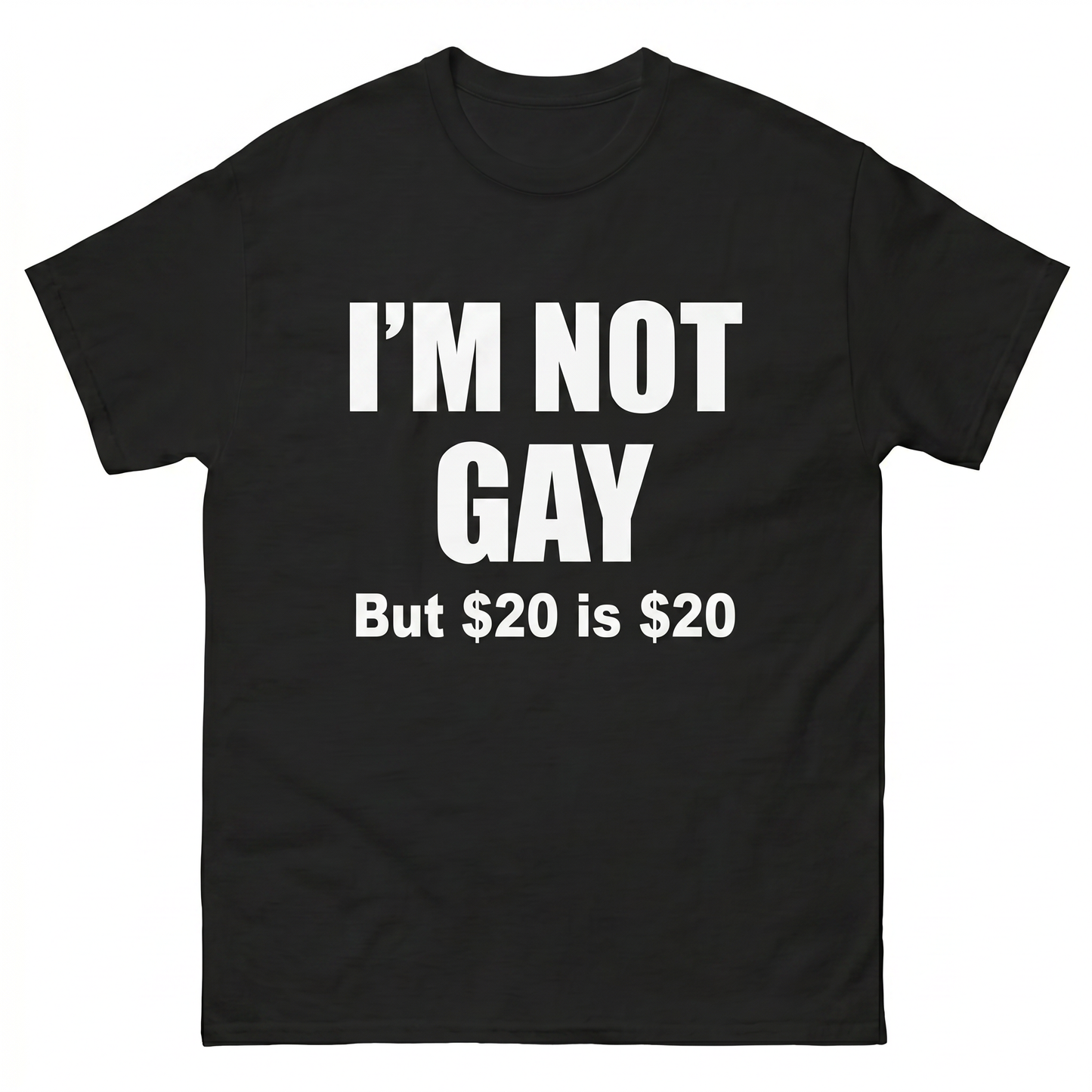 I'm not Gay But 20€ is 20€ T-Shirt